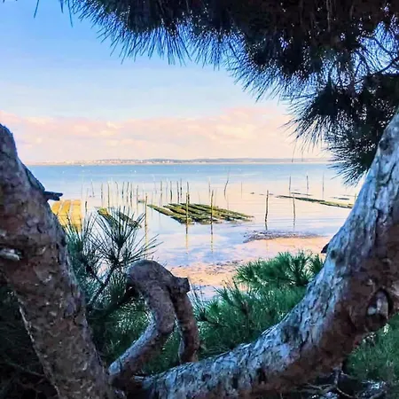 Les Ganivelles Du Bassin * 居让梅斯特拉